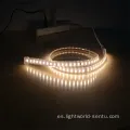 Proyecto de luz LED de LED para el proyecto de ingeniería